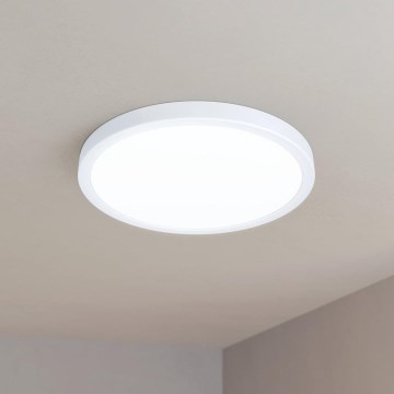 Eglo - Plafoniera LED LED/20W/230V