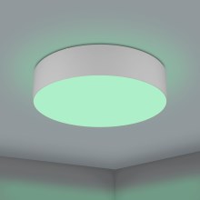 Eglo - Plafoniera LED RGBW dimmerabile  LED/35W/230V grigio