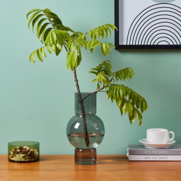 Eglo - Vaso in vetro 28x15,5 cm nero