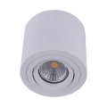Emithor 48606 - Luce Spot da soffitto SURFACE 1xGU10/50W/230V