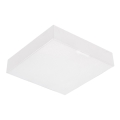 Emithor 63217 - Plafoniera LED SURFACE/20W/230V