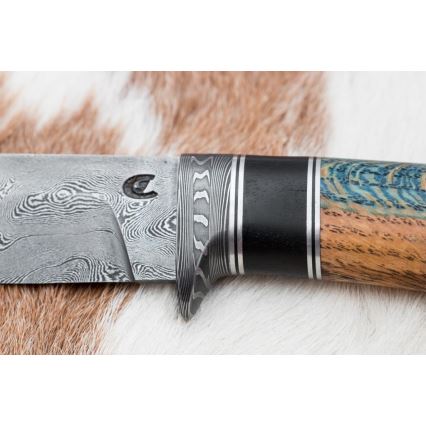 Esclusivo coltello Damasco 12,7 cm quercia/ebano