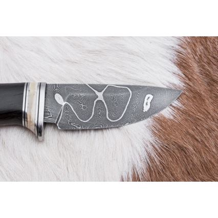 Esclusivo coltello Damasco 8,6 cm quercia/osso di cammello