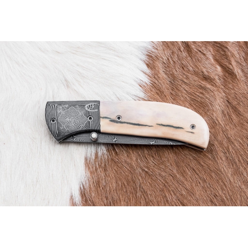 Esclusivo coltello pieghevole in Damasco 8,6 cm zanna di mammut