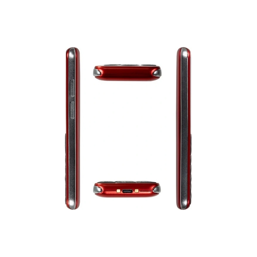 Evolveo - EasyPhone LT 4G telefono cellulare per anziani rosso
