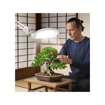 Extol - Lampada da tavolo dimmerabile a LED con lente d'ingrandimento LED/10W/230V bianca
