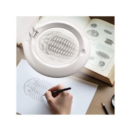 Extol - Lampada da tavolo dimmerabile a LED con lente d'ingrandimento LED/10W/230V bianca