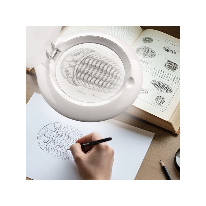 Extol - Lampada da tavolo dimmerabile a LED con lente d'ingrandimento LED/10W/230V bianca