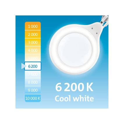 Extol - Lampada da tavolo dimmerabile a LED con lente d'ingrandimento LED/10W/230V bianca