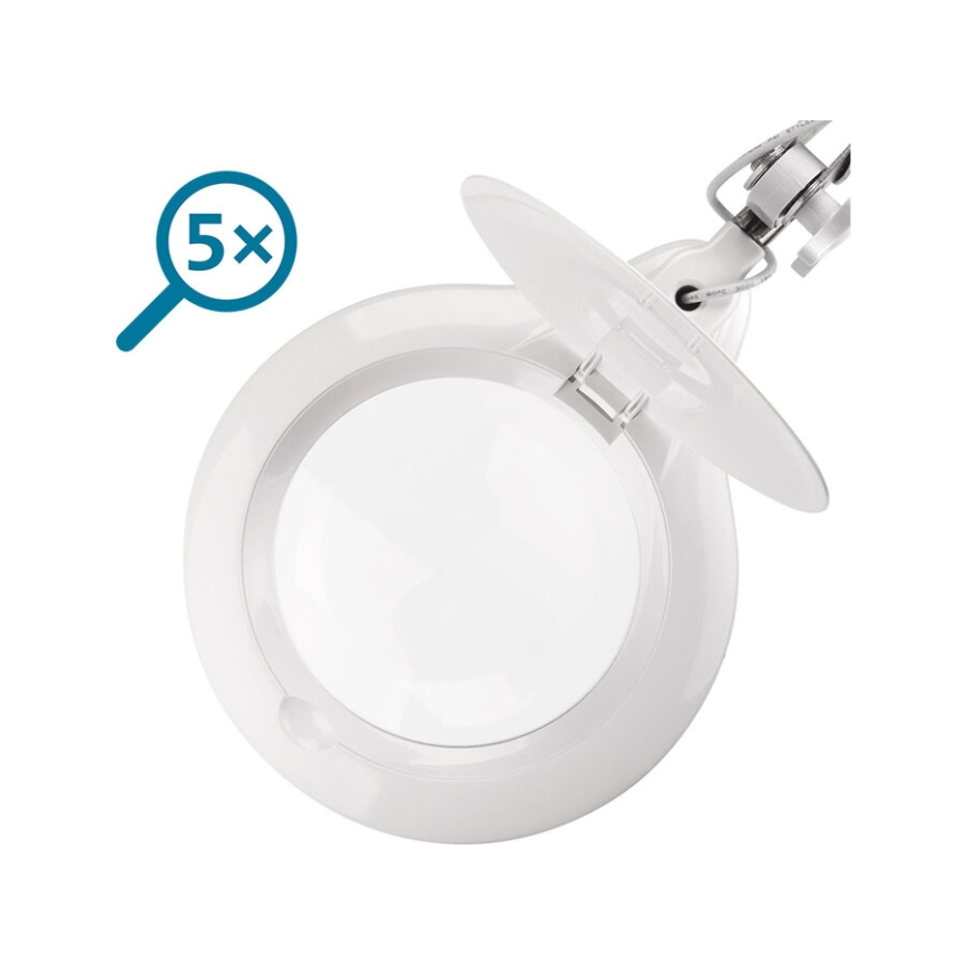 Extol - Lampada da tavolo dimmerabile a LED con lente d'ingrandimento LED/10W/230V bianca