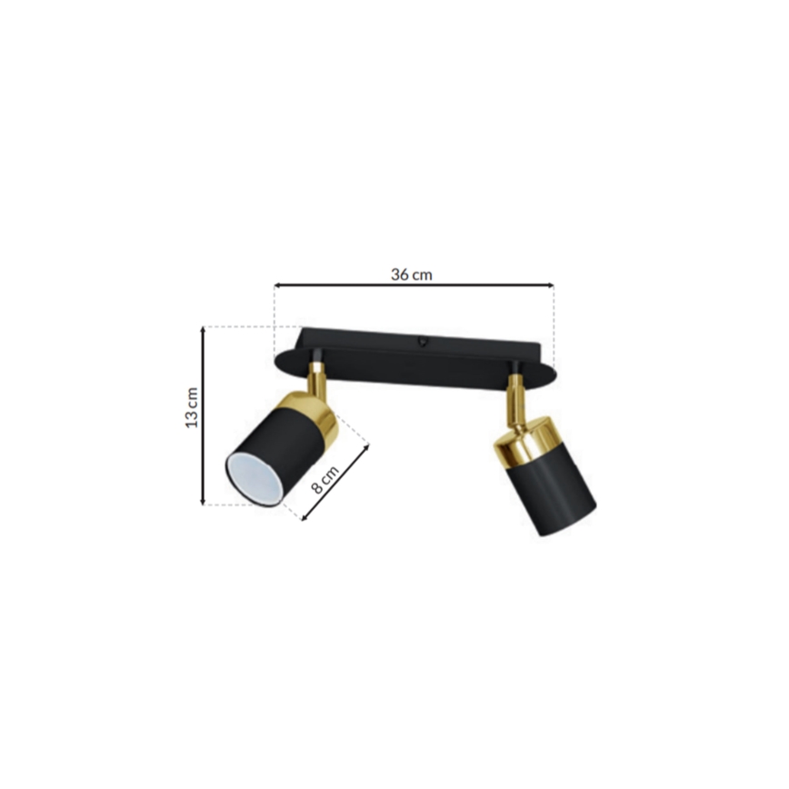 Faretti a plafone JOKER 2xGU10/25W/230V nero