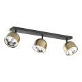 Faretto ALTEA 3xAR111 GU10/50W/230V oro/nero