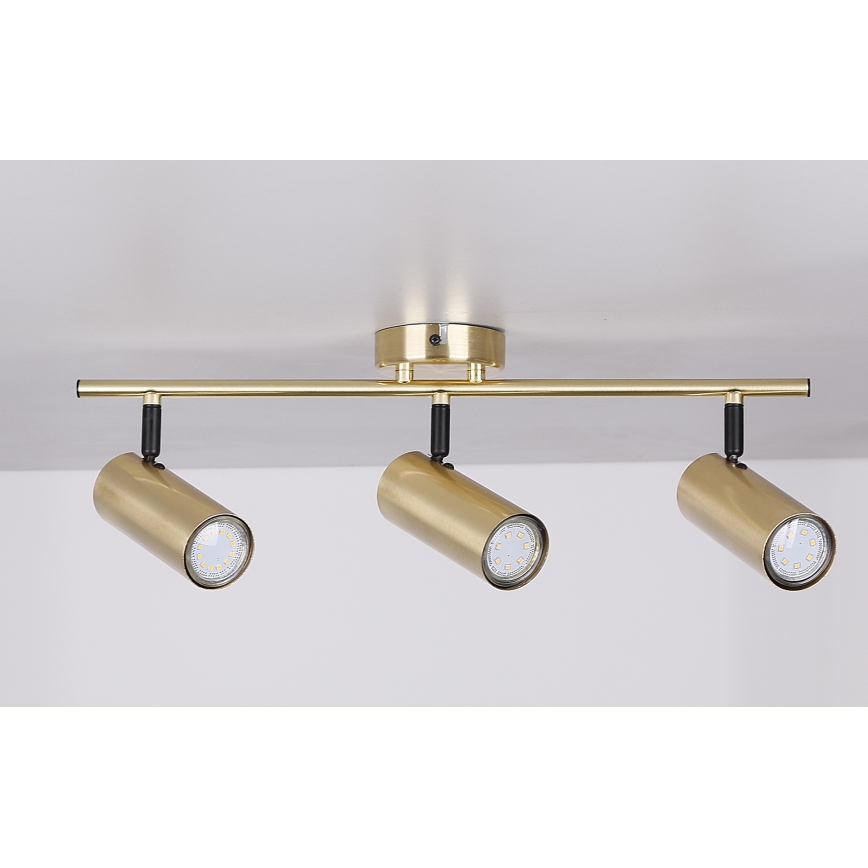 Faretto COLLY 3xGU10/15W/230V oro