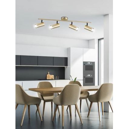 Faretto COLLY 4xGU10/15W/230V oro