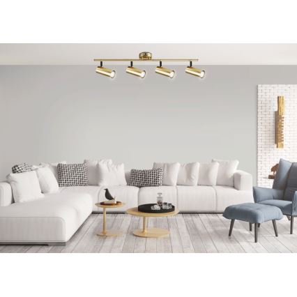 Faretto COLLY 4xGU10/15W/230V oro