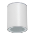 Faretto da esterno AQILO 1xGU10/7W/230V IP65 bianco