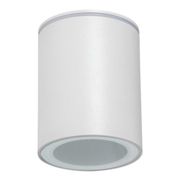 Faretto da esterno AQILO 1xGU10/7W/230V IP65 bianco