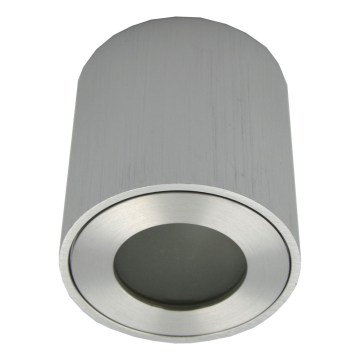 Faretto da esterno FARA 1xGU10/30W/230V IP54 argento