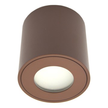 Faretto da esterno FARA 1xGU10/30W/230V IP54 marrone