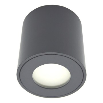 Faretto da esterno FARA 1xGU10/30W/230V IP54 nero