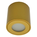 Faretto da esterno FARA 1xGU10/30W/230V IP54 oro
