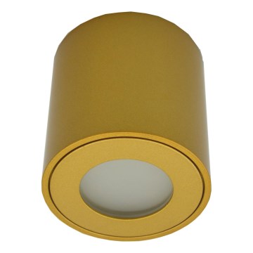 Faretto da esterno FARA 1xGU10/30W/230V IP54 oro