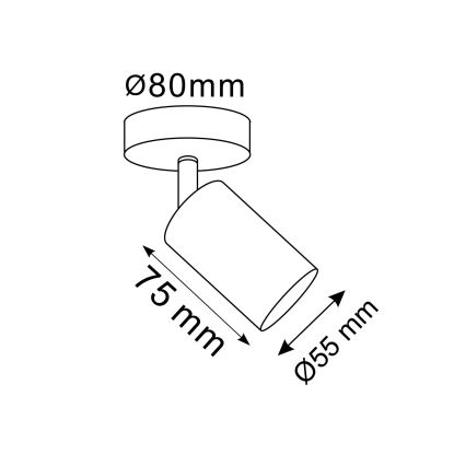 Faretto da parete LED RGBW dimmerabile GOLDIE 1xGU10/4,8W/230V 3000K dorato + telecomando
