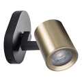 Faretto da parete LAURIN 1xGU10/10W/230V ottone/nero