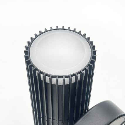 Faretto da parete per esterni LANTHEA 2xGU10/11W/230V IP44 nero