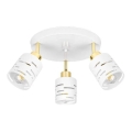 Faretto ELEN 3xE27/35W/230V bianco/oro