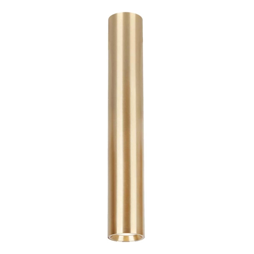 Faretto GENESIS 1xGU10/8W/230V 40 cm oro