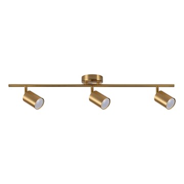 Faretto GOLDIE 3xGU10/10W/230V dorato