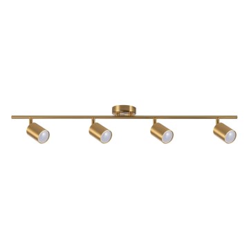 Faretto GOLDIE 4xGU10/10W/230V, finitura dorata