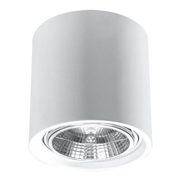 Faretto KALU 1xGU10/ES111/40W/230V