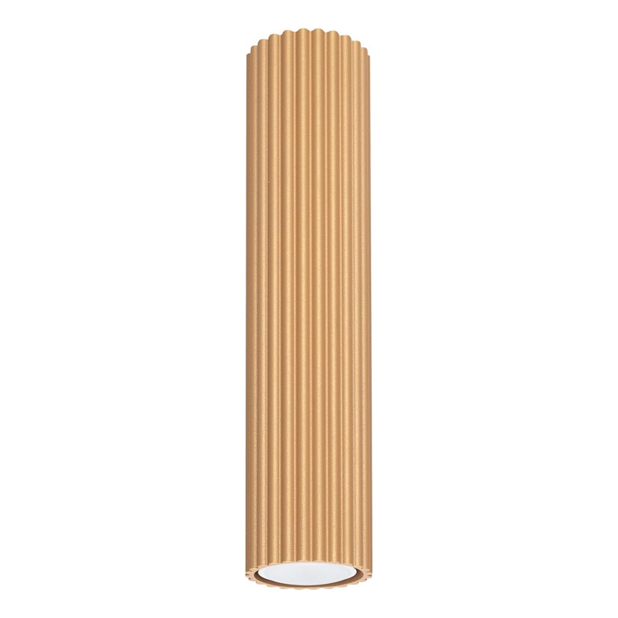 Faretto KARBON 1xGU10/10W/230V 30 cm oro