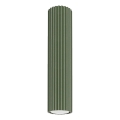 Faretto KARBON 1xGU10/10W/230V 30 cm verde