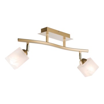 Faretto KLARA 2xE14/40W/230V oro