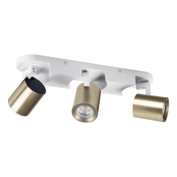 Faretto LAURIN 3xGU10/10W/230V ottone/bianco