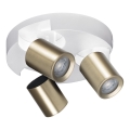 Faretto LAURIN 3xGU10/10W/230V ottone/bianco