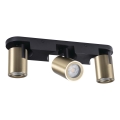 Faretto LAURIN 3xGU10/10W/230V ottone/nero