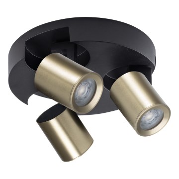 Faretto LAURIN 3xGU10/10W/230V ottone/nero
