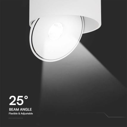 LED Flessibile Luce Spot LED/20W/230V 3000/4000/6400K CRI 90 bianco