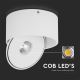LED Flessibile Luce Spot LED/20W/230V 3000/4000/6400K CRI 90 bianco