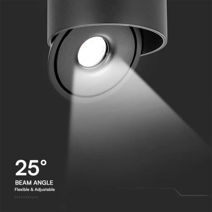 LED Flessibile Luce Spot LED/20W/230V 3000/4000/6400K CRI 90 nero