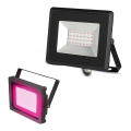 Faretto LED LED/20W/230V IP65 luce rosa