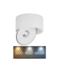 Faretto LED LED/28W/230V 3000/4000/6400K CRI 90 bianco