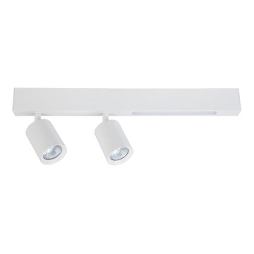 Faretto LED MAGNET LED/5W/230V + 2xGU10/60W 3000/4000K bianco