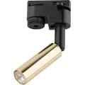 Faretto LED per sistema ferroviario monofase LAGOS 1xG9/3W/230V oro/nero