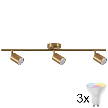 Faretto LED RGBW dimmerabile GOLDIE 3xGU10/4,8W/230V 3000K dorato + telecomando
