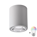 Faretto LED RGBW dimmerabile JUPITER 1xE27/6,5W/230V 2700-6500K Wi-Fi diam. 9,8 cm grigio
